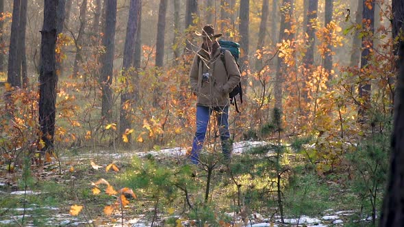 A Man with a Backpack and a Camera Walks in the Autumn Forest