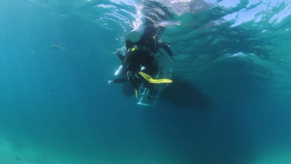 Scuba divers swimming to a boat to climb a ladder