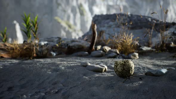 An Old Torn Soccer Ball Thrown Lies on Sand of Sea Beach alt