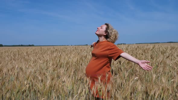 Young Happy Pregnant Woman In Wheat Field