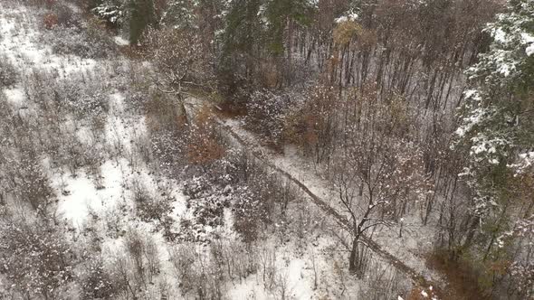 Path in the forest by winter 4K aerial footage