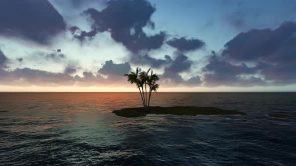 Palm Island Ocean