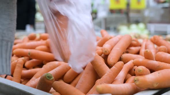 girl picks carrots in a plastic bag. Close-up