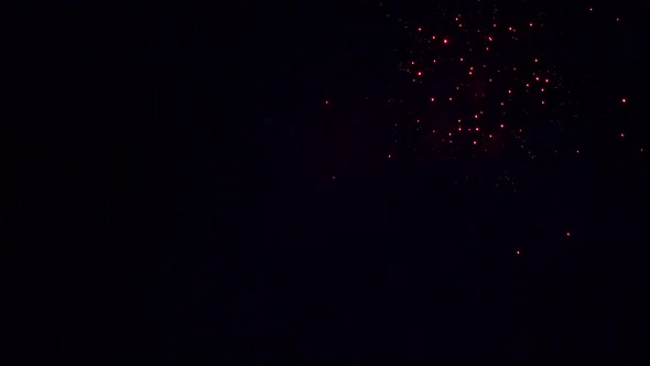 Colorful Firework display at night on sky background