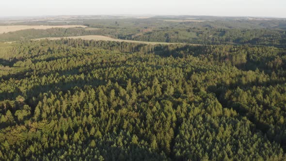 Aerial Drone Shot  a Forest in a Rural Area