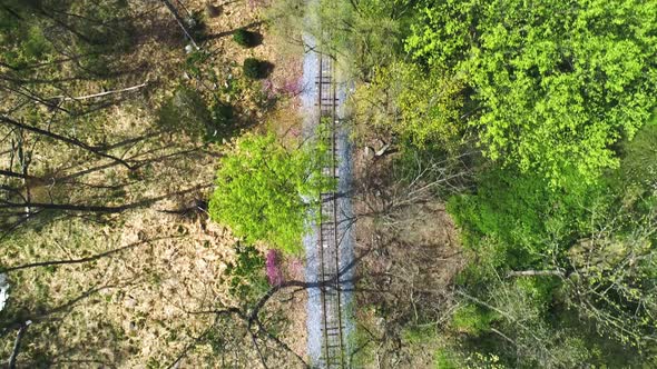 Aerial Down Angle View of a Wooded Area with a Lonely Single Rail Road Track