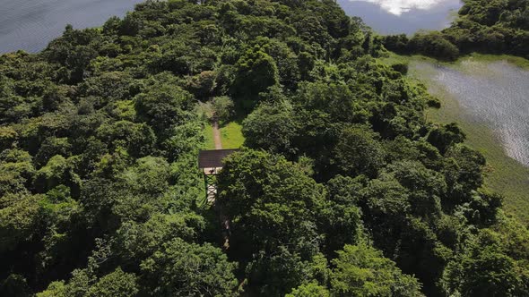 Drone flying over thick leafy rainforest in central America. Camera tilting down towards a small tow