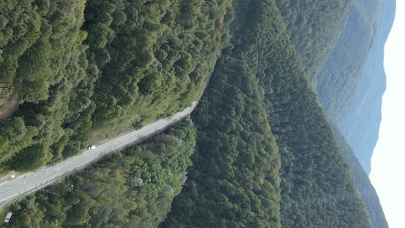 Vertical Video Carpathian Mountains