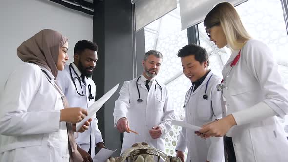 Medical Interns of Mixed Race in Medical Clothing Studying Together Human Skeleton Anatomy