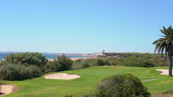 Shot of a Clean Green Golf Field with a Palm Tree and Vegetation Also a Beach in the Background