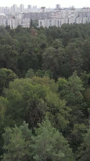 Aerial View of the Border of the Metropolis and the Forest