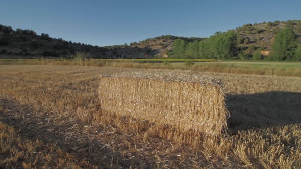 Strawbale on wheatfield after harvesting under scorching sun flaring