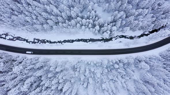 Aerial view of winter road and snow-covered pine trees
