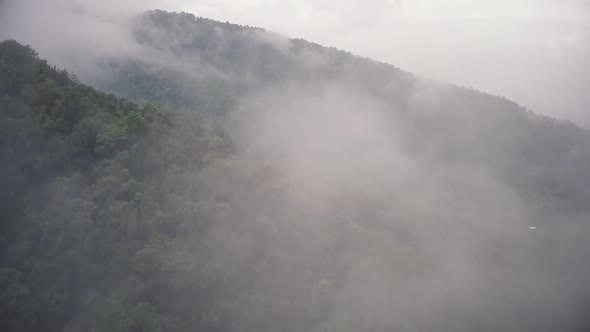 Logistic concept aerial view of countryside road passing through the serene lush greenery and foliag