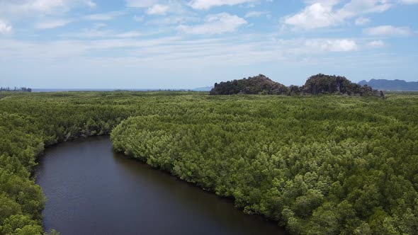 Aerial view of mangrove forest and the sea by drone