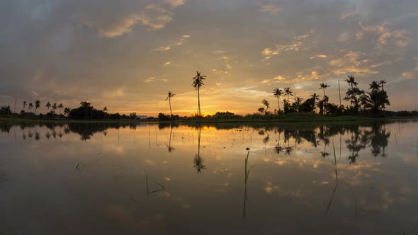 Time lapse reflection sunset with golden cloud, coconut trees