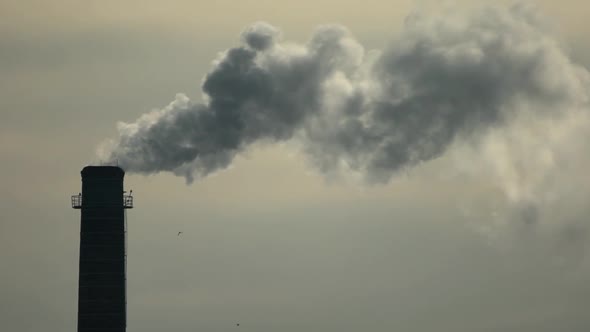 Smoke Comes From the Chimney. Air Pollution. Slow Motion. Ecology. Kyiv. Ukraine