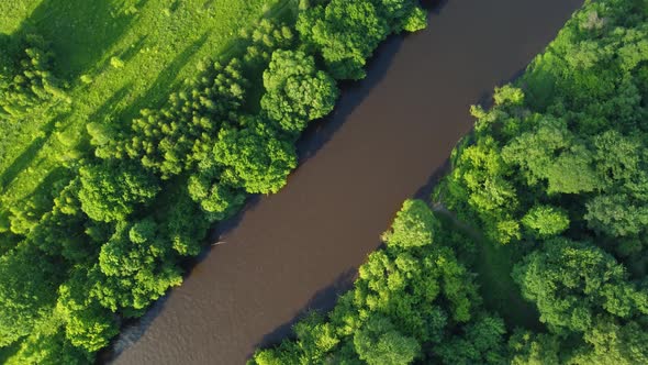 Drone Flight Over Water and Trees From a Height