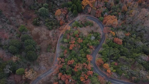 Skyline Aerial view in Mount Wakakusa, Nara