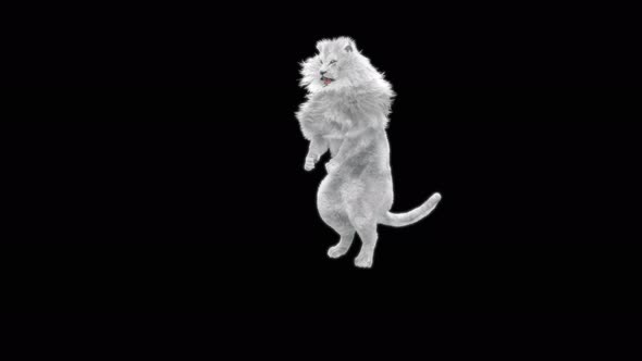 68 White Lion Dancing 4K