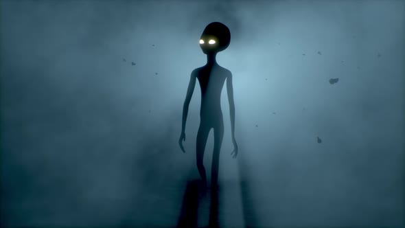 Scary Gray Alien Walks and Looks Blinking on a Dark Smoky Background alt