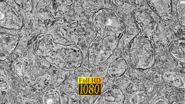 Modern Abstract Fluids Inside Cell