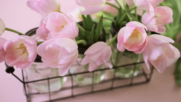 Light pink tulips on a pink background