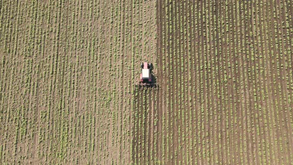 Aerial View of Following a Tractor Working in the Field Processing the Agricultural Land