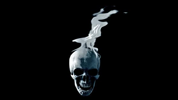 Cinematic Black and white Skull Fire alt