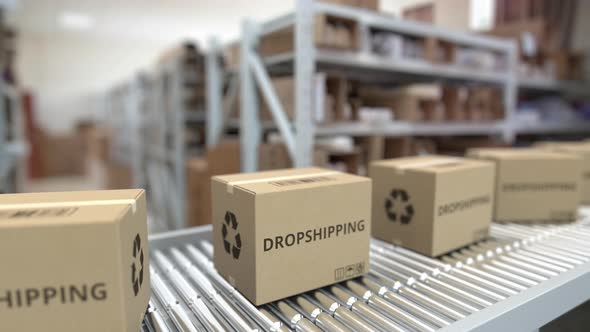 Cartons with Printed DROPSHIPPING Text Move on Conveyor