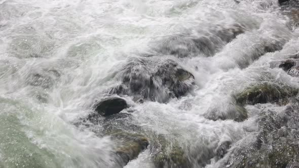 Cascade of Foamy Mountain River Flow Between Stones