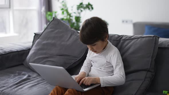 Little Cute Boy Use Laptop Computer Sitting on Sofa