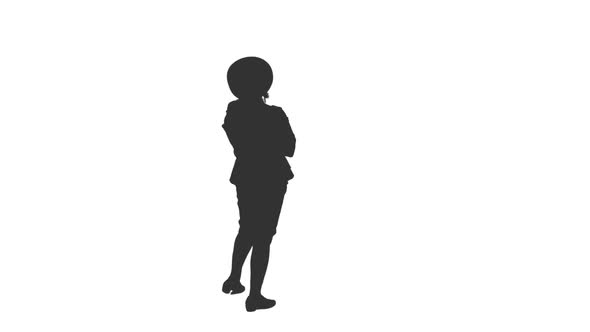 Silhouette of Elegant Woman Viewing Something in a Museum