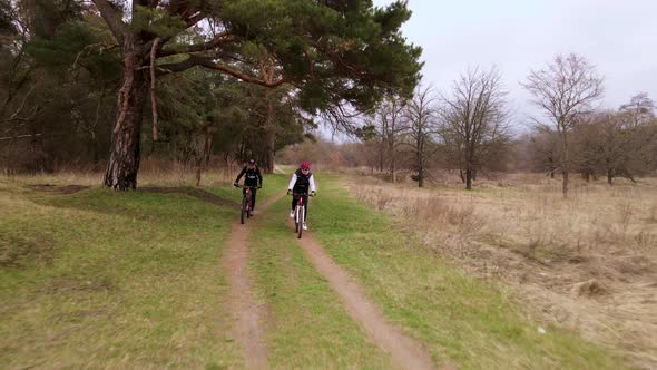 Slow Motion Aerial Shot of Young Sport Men Ride Bicycles on Forest Road at Spring Cloudy Evening
