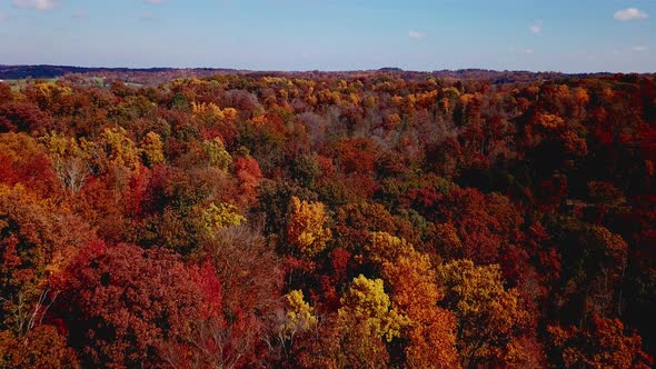 4k Aerial View of Drone Flying above beautiful forest with stunning autumn colors on fall day 