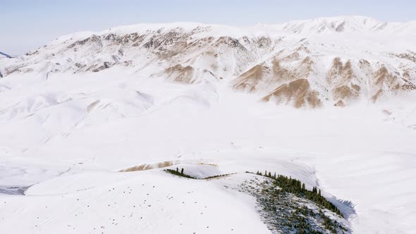 Drone Video of Nature in a Mountain Landscape in Winter