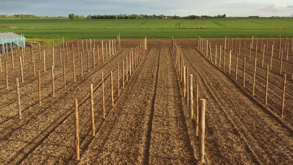 The construction of the farm greenhouse on the agricultural field