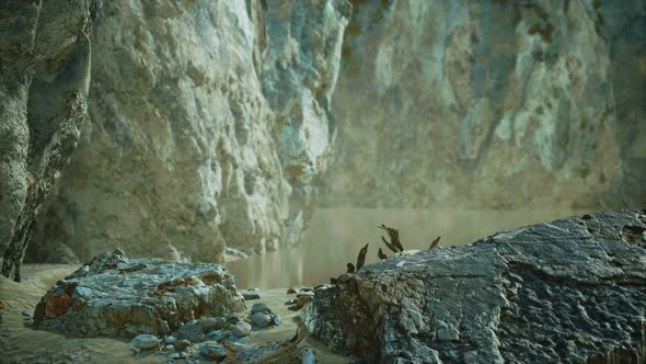 Seascape with White Rocky Cliffs in Sea Bay