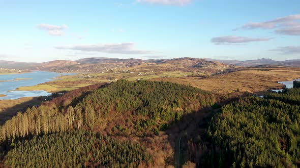 The Reforestation Continues at Bonny Glen in County Donegal  Ireland