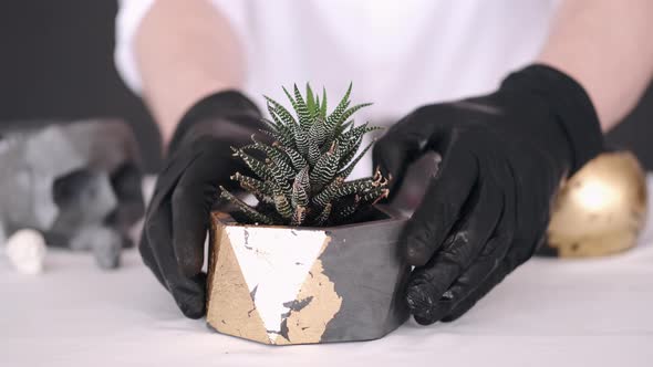 Cropped View of Hands in Black Gloves Planting Cactus