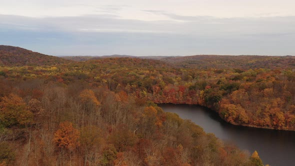 aerial dolly out over the orange colored tree tops of autumn season & mountains on a cloudy day at t