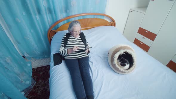 Greyhaired Woman Reads News Via Tablet Lying Near Kitten