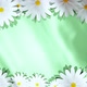 Spinning Chamomiles On Card Stylish Green Background - VideoHive Item for Sale