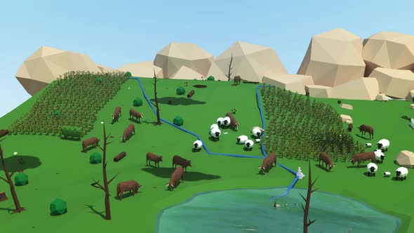 Forest Area Transform To Farm 3D Low Poly Animation