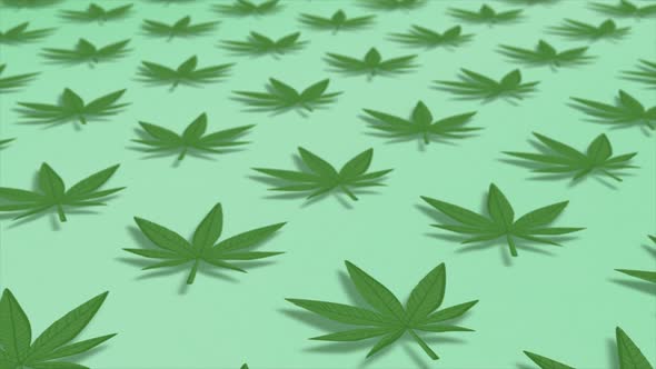 Cannabis Green Leaf Frame Bud and Joint with Copy Space on Background Isolated Gif Animation Pattern