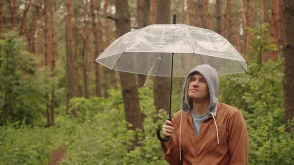 A Thoughtful Man with an Umbrella in His Hand in the Woods