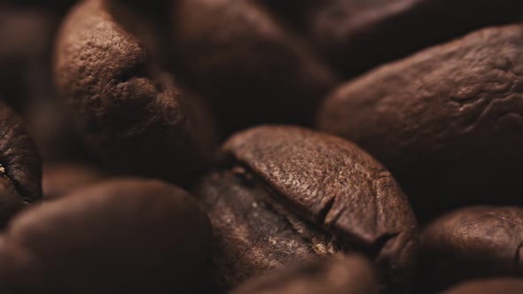 Coffee Beans - Extreme Close Up