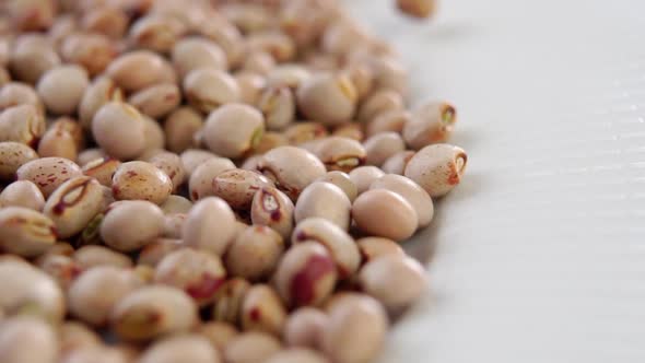 Dry pigeon peas falling on a ceramic bowl surface in slow motion. Dried Asian legumes. Rotation