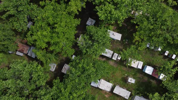 Beehive Boxes on a Bee Farm