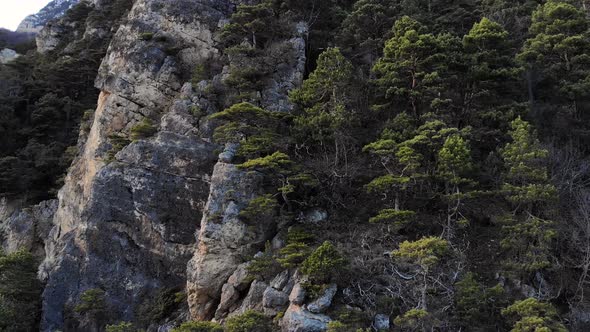 Aerial View of a Rocky Wall in the Mountains Covered with Juniper